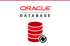 Empowering Oracle Workloads with IBM Power